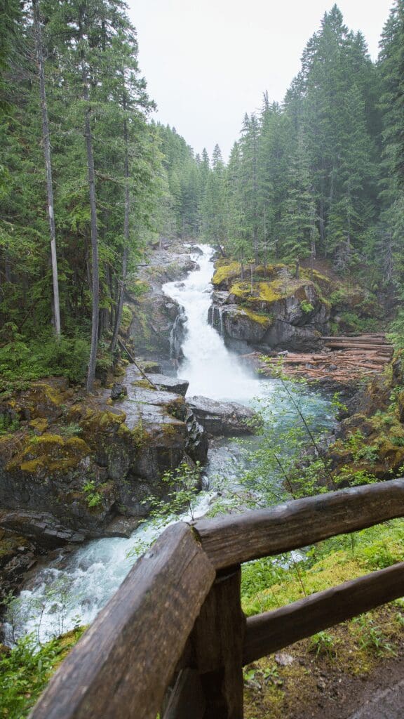 view of waterfall and stream in forest