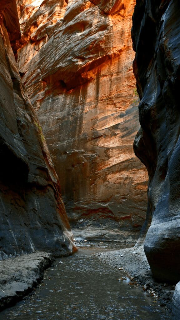 view of the narrows at zion and the huge cliff walls on the sides