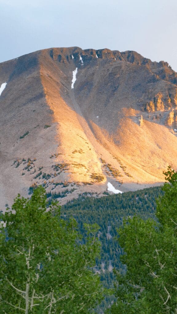 hillside view showing mountain above the timberline