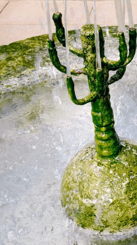 pipe with different arms spewing water from the hot springs