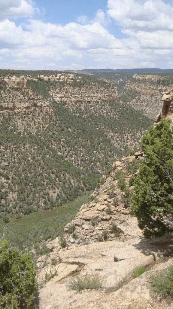 view of the valley from above