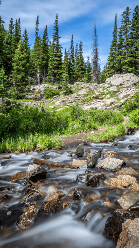view of stream with trees in background