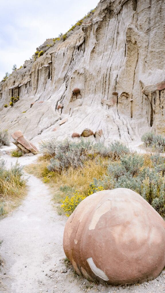 view of hiking trail