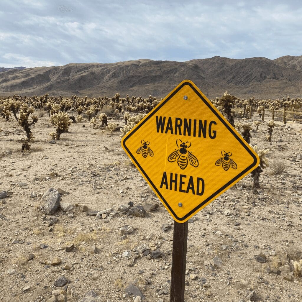 A warning sign with pictures of bees with cholla cactus and mountains in background