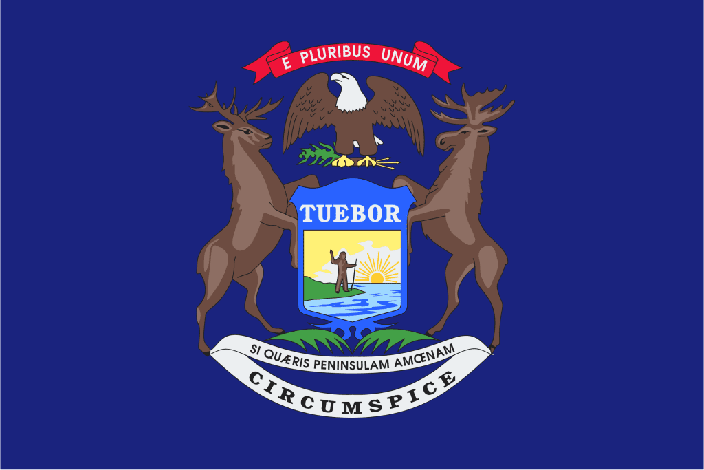 Blue flag with center emblem