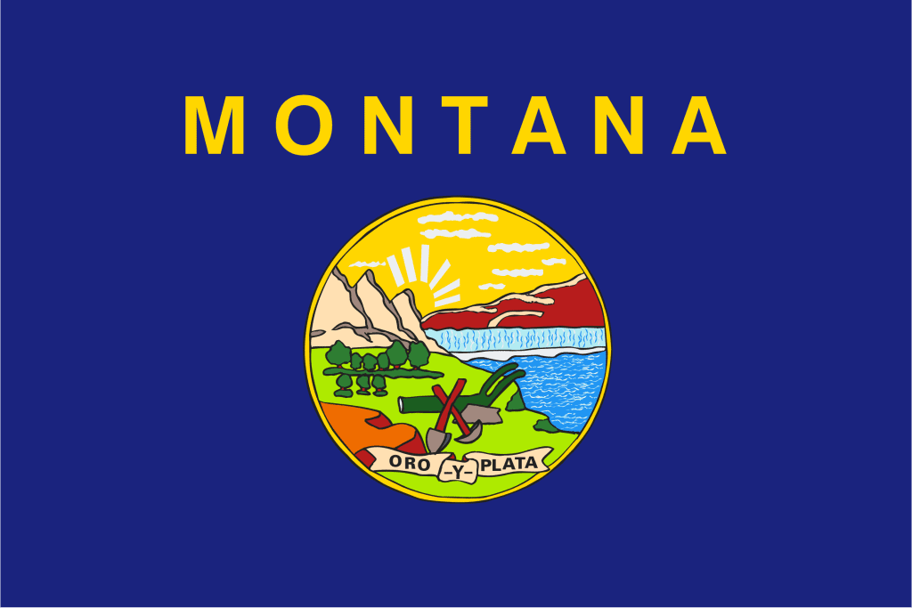 Blue flag with yellow emblem