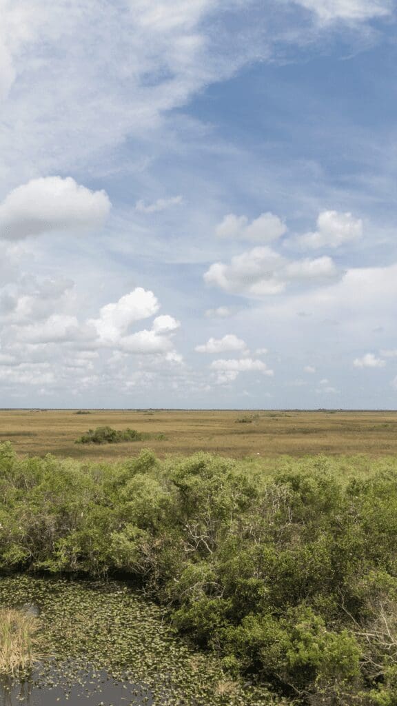 view of an expansive land of low brush and watery area