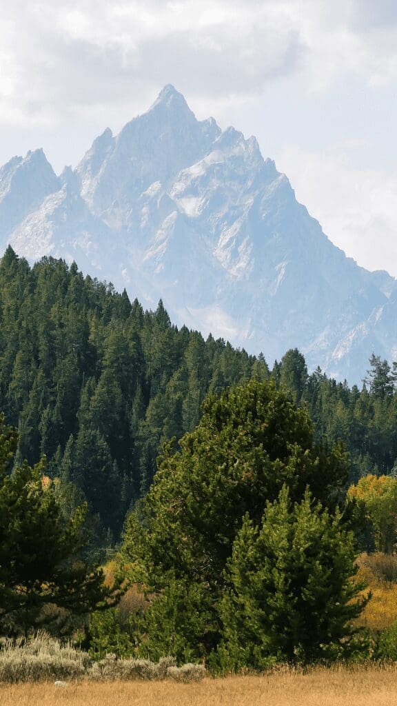 mountains and green trees