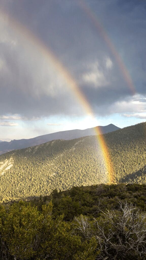 a view of the park with a double rainbow in the distance