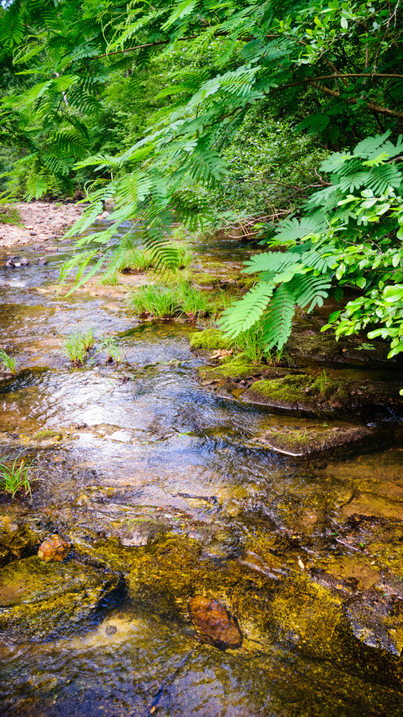 view of stream of hot water