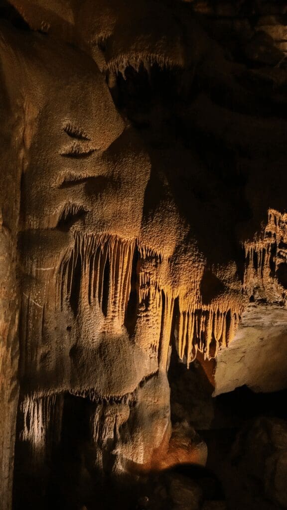 view from inside the cave