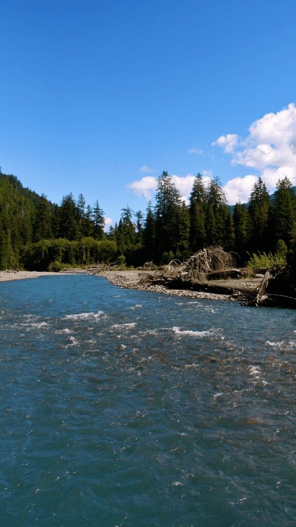 view of river
