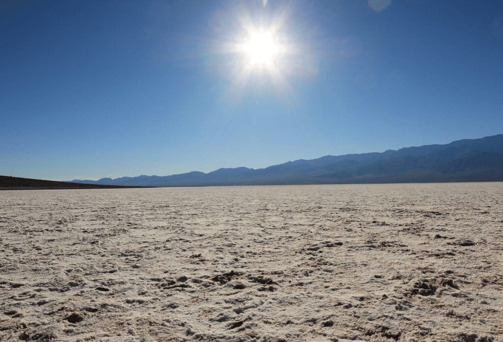 sandy soil