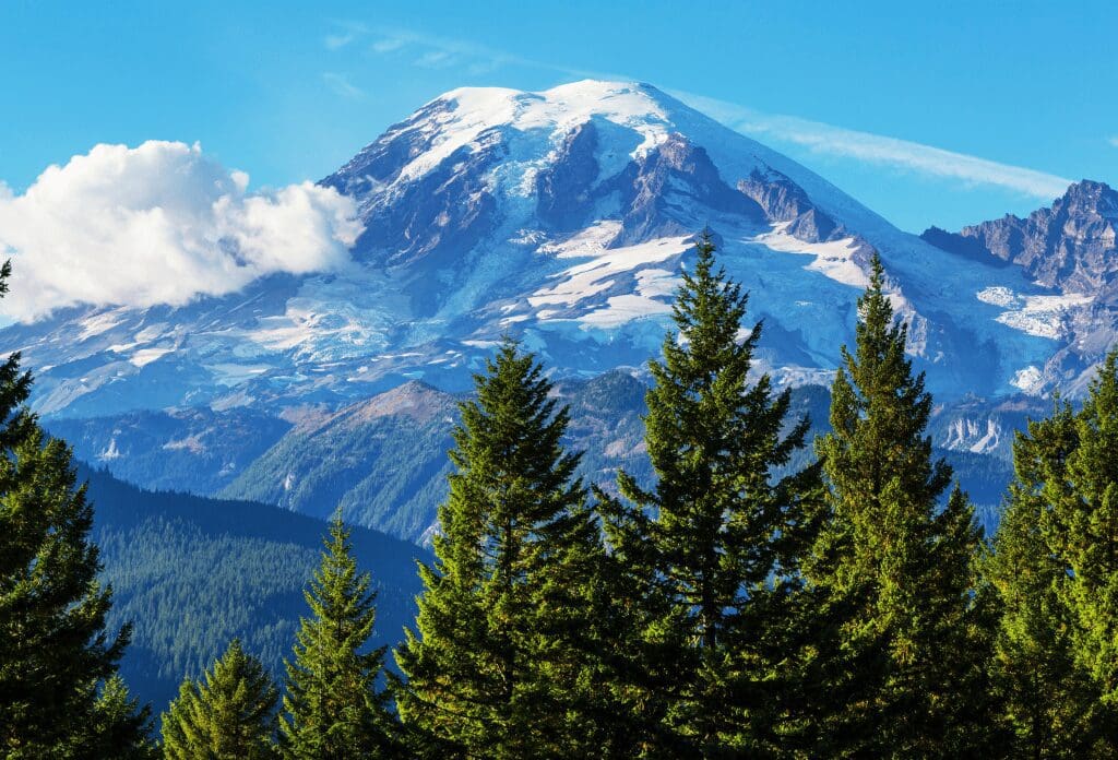 view of the mountain