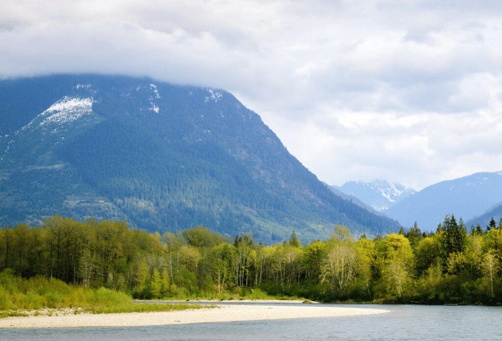 view from the lake 