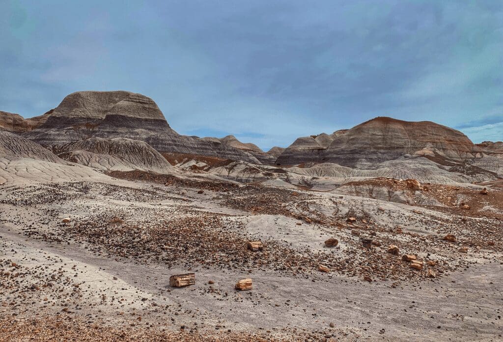 view of the landscape 