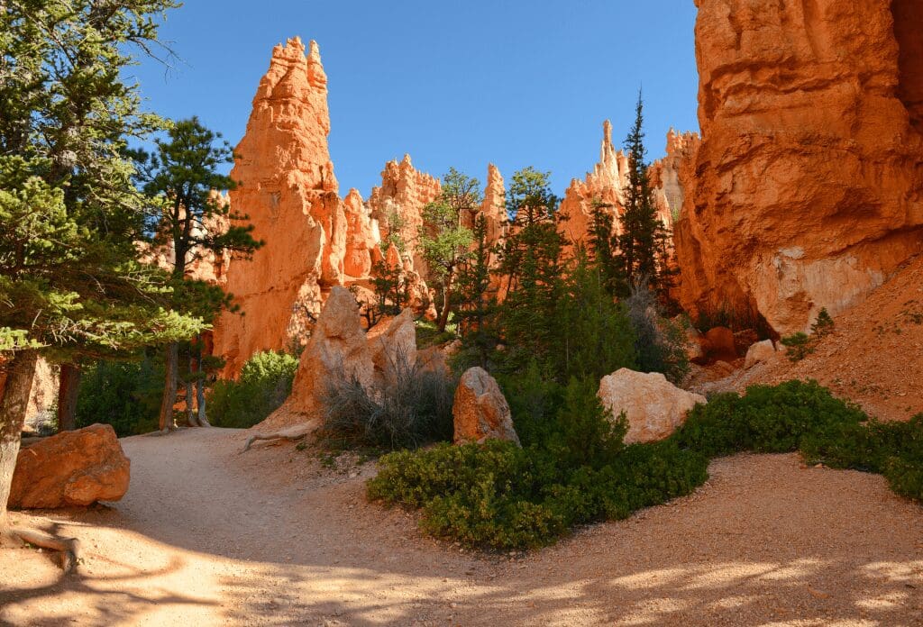 hoodoos in bryce canyon