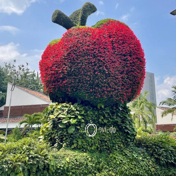 red apple flower planting