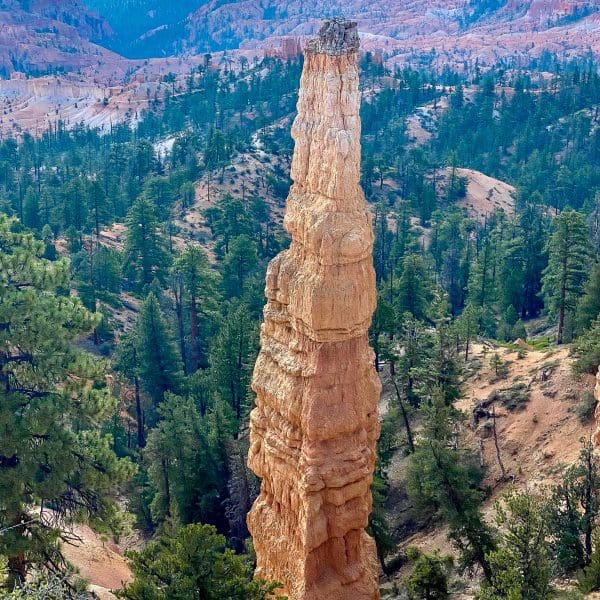a Bryce Canyon National Park large hoodoo looking over the canyon