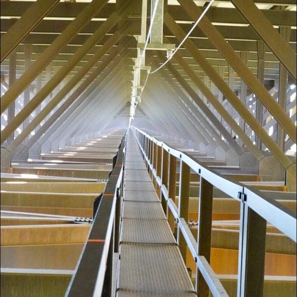 view from under the New River Gorge Bridge on the BridgeWalk in Fayetteville, West Virginia
