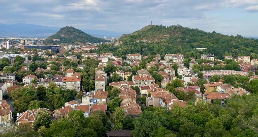 houses among green trees