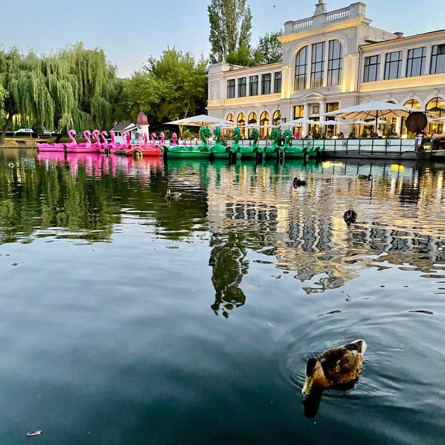 ducks in pond with dragon boats and flamingo boats