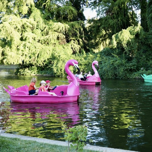 flamingo boats with children