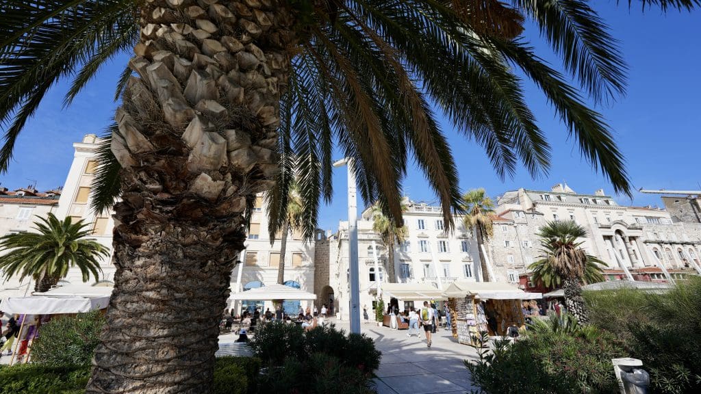 Riva is Split’s palm-lined pedestrian street