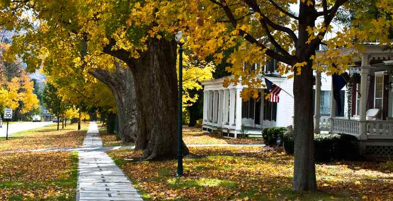 city street with trees in manchester vermont