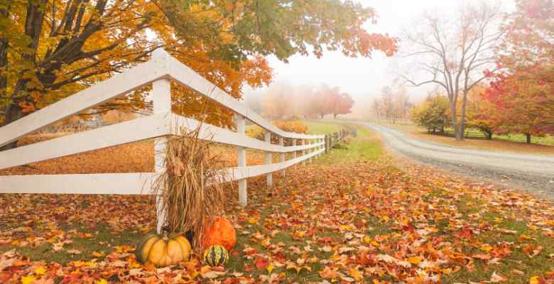 white fence with colorful fall foliage in Vermont