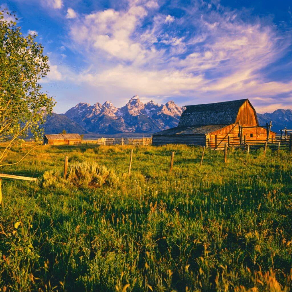 a view of the park with a barn in the foreground