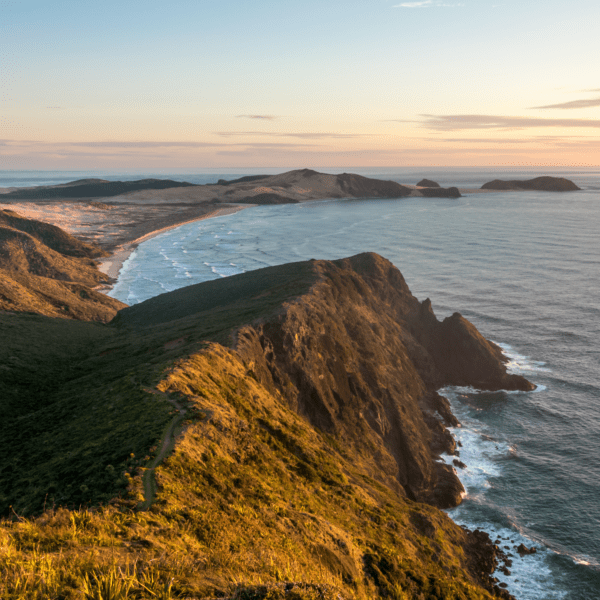 mountains and shoreline in New Zealand