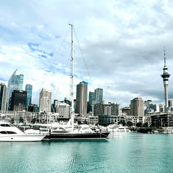 skyline of a city with harbour in the foreground