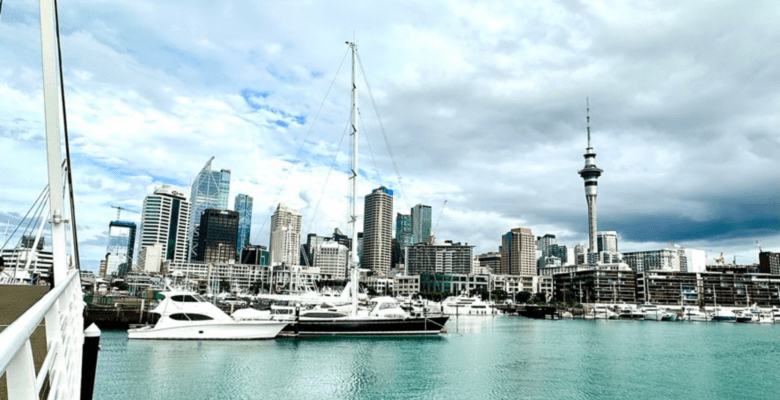 skyline of a city with harbour in the foreground