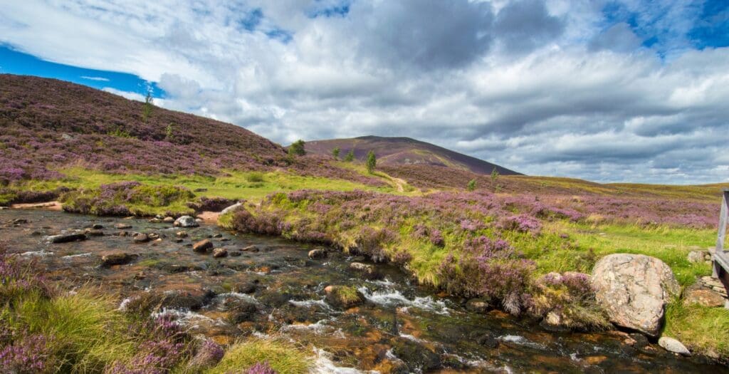 Rolling, barren landscape of the Scottish Highlands
