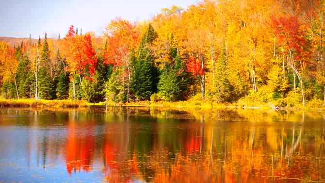 A yellow and red hillside with lake.