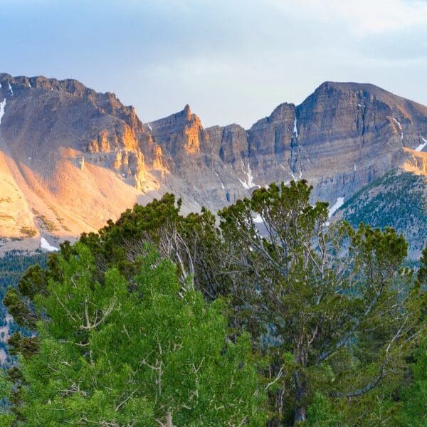 mountains in great basin park