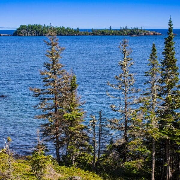 water and pine trees around isle royale national park