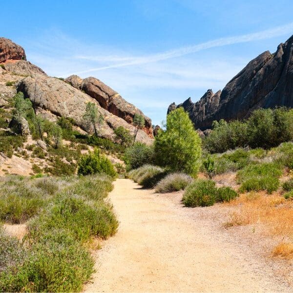path and rocky area in pinnacles national park