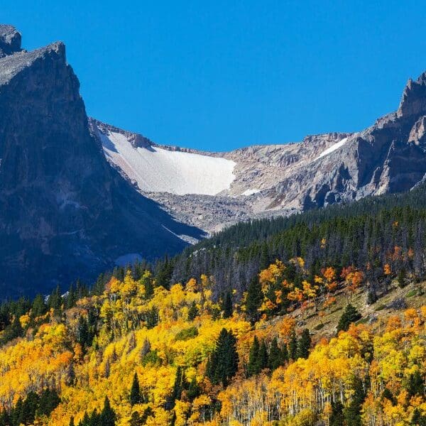 golden trees and mountains in rocky mountain national park