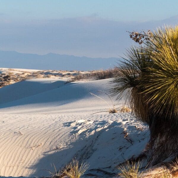 white sand dunes of white sands national park in new mexico